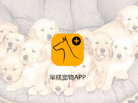 羋糕寵物APP